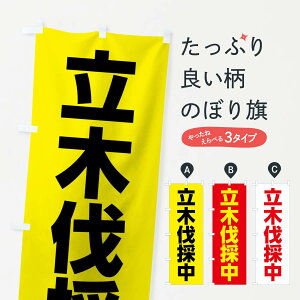 ylR|X360z ̂ڂ ؔ̒̂ڂ 04SP ƒ ObYv ył܂+1017~z