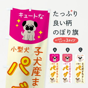 y|Xg 360z ̂ڂ pOEybgEEqY܂܂̂ڂ 5L2G ybgVbv ObYv ył܂+1017~z