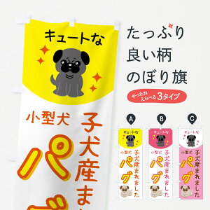 y|Xg 360z ̂ڂ pOEybgEEqY܂܂̂ڂ 5L2N ybgVbv ObYv ył܂+1017~z