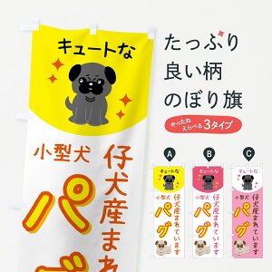 y|Xg 360z ̂ڂ pOEybgEEeY܂Ă܂̂ڂ 5L25 ybgVbv ObYv ył܂+1017~z