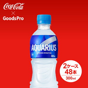 ANGAX PET 300ml 2P[X 48{