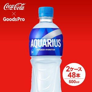 ANGAX 500ml PET 2P[X 48{
