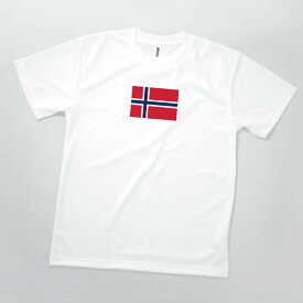Tシャツ ノルウェー王国 国旗