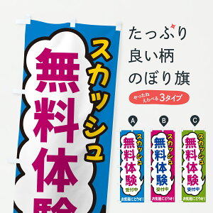 【ポスト便 送料360】 のぼり旗 スカッシュ・無料体験受付中のぼり H94J テニス グッズプロ 【名入れできます+1017円】
