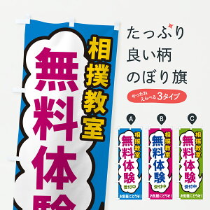 【ポスト便 送料360】 のぼり旗 相撲教室・無料体験受付中のぼり H95N 武道・格闘技 グッズプロ 【名入れできます+1017円】