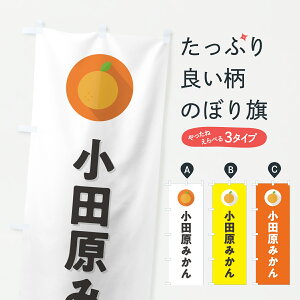 y|Xg 360z ̂ڂ c݂E~JEVv̂ڂ HSTF ݂Ek ObYv ył܂+1017~z