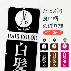 �y�|�X�g�� ����360�z �̂ڂ�� �������߁EHAIRCOLOR�E�w�A�T�����EHairSalon�̂ڂ� 6NNF �J���[�E�������� �O�b�Y�v�� �y������ł��܂�+1017�~�z