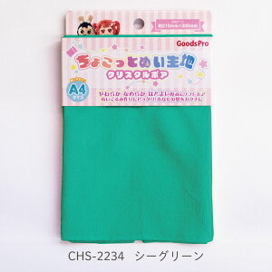 傱ƂʂnyNX^{AzCHS-2234 V[O[