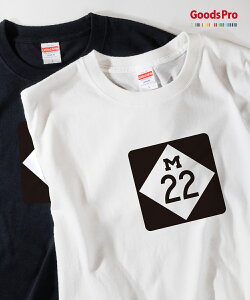 TVc MICHIGAN STATE TRUNKLINE AJ W