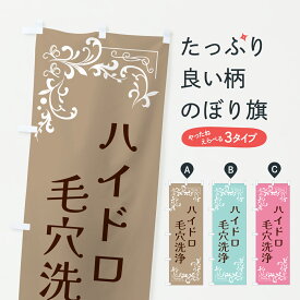 【ポスト便 送料360】 のぼり旗 ハイドロ毛穴洗浄・美容のぼり JSXW ビューティー グッズプロ 【名入れできます+1017円】