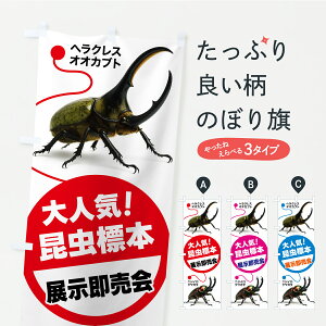 y|Xg 360z ̂ڂ W{EWEŴڂ Y8Y4 JugENK^ ObYv ył܂+1017~z