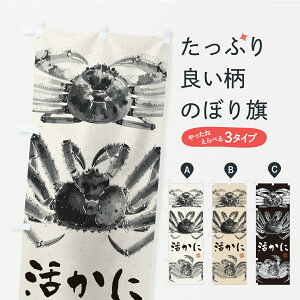 y|Xg 360z ̂ڂ ɁEYCKjE^oKjEуKjEn̂ڂ YSRN ɁEI ObYv ył܂z