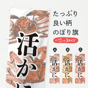 y|Xg 360z ̂ڂ ɁEYCKjE^oKjEуKjEn̂ڂ YSR5 ɁEI ObYv ył܂z