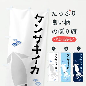 y|Xg 360z ̂ڂ PTLCJE񂳂̂ڂ C213  ObYv ył܂+1017~z