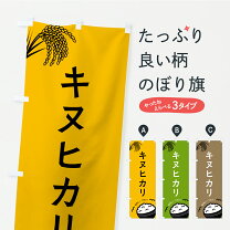 楽天市場】キヌヒカリ 苗の通販