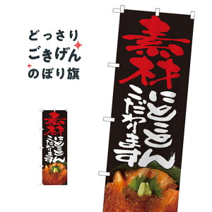 �������f�ނ̊C�N�� �̂ڂ�� 82497 �C�N����