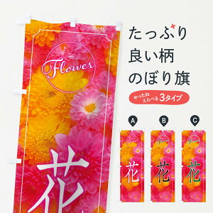 ylR|X360z ̂ڂ Ԃ̂ڂ 0PS5 t[Vbv ObYv ył܂+1017~z