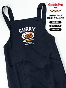 �J���[ �C���X�g CURRY �G�v���� �Ɩ��p ���� ������ ���S��� �O�b�Y�v��