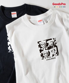 Tシャツ 威風凛凛 いふうりんりん 四字熟語 発汗性の良い快適素材 ドライTシャツ グッズプロ