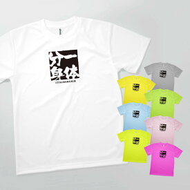 Tシャツ 一体分身 いったいぶんしん 四字熟語 発汗性の良い快適素材 ドライTシャツ