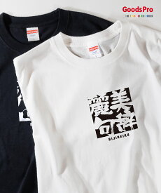 Tシャツ 美辞麗句 びじれいく 四字熟語 発汗性の良い快適素材 ドライTシャツ グッズプロ