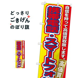 gѓdbEX}[gtH ̂ڂ GNB-174 X}z