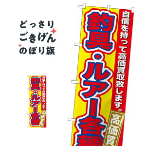 ދEA[ ̂ڂ GNB-177 ނGTEދ