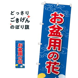 ~p̉ ̂ڂ GNB-2544 t[Vbv