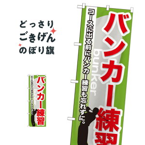 oJ[K ̂ڂ GNB-538 StK