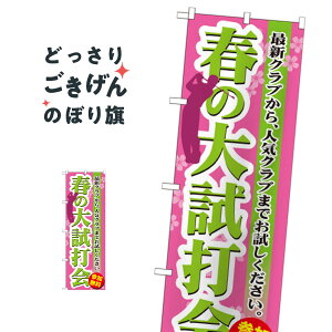 t̑厎ŉ ̂ڂ GNB-551 Stpi