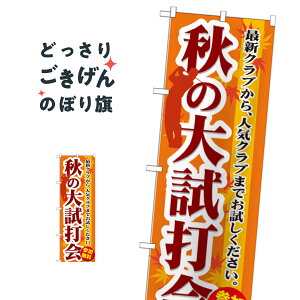 H̑厎ŉ ̂ڂ GNB-552 Stpi