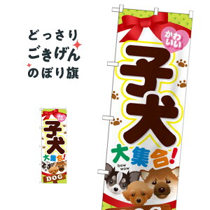 qW ̂ڂ GNB-553 ybgVbv