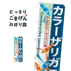 �J���[�U���K�j �̂ڂ�� GNB-570 �M�ы�
