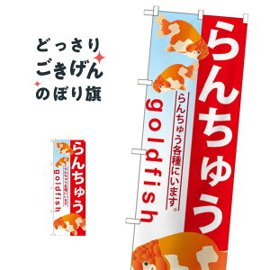 񂿂イ ̂ڂ GNB-583 