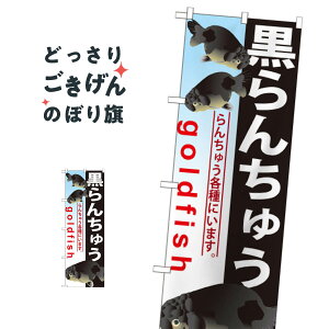 񂿂イ ̂ڂ GNB-584 