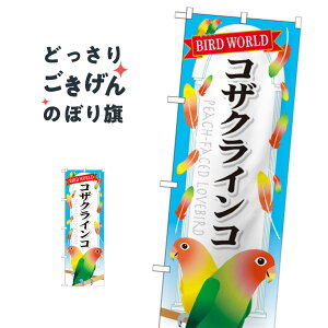 RUNCR ̂ڂ GNB-615 E