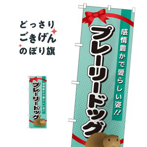 v[[hbO ̂ڂ GNB-623 E