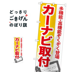 J[irt ̂ڂ GNB-670 J[pi