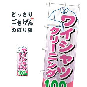 ���C�V���c�N���[�j���O100�~ �̂ڂ�� GNB-996 Y�V���c