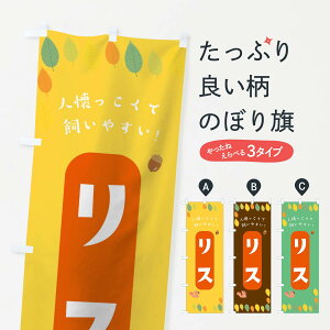 ylR|X360z ̂ڂ X̂ڂ T595  ybgVbv ObYv ył܂+1017~z