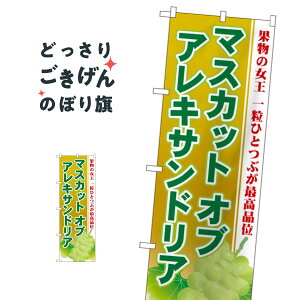 }XJbgIuALThA ̂ڂ SNB-1385 ԂǂE