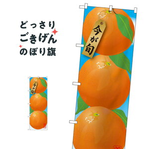 ݂ ̂ڂ SNB-1448 IW ݂Ek