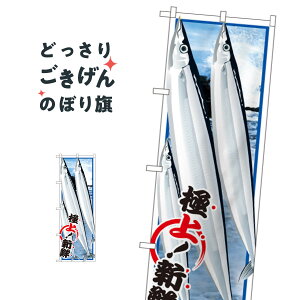 T} ̂ڂ SNB-1553 ܁EH