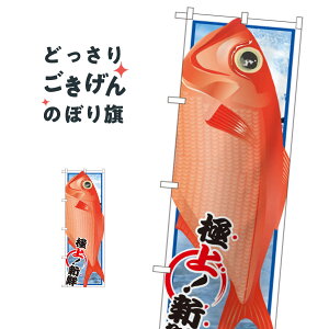 キンメダイ ホビーの人気商品 通販 価格比較 価格 Com