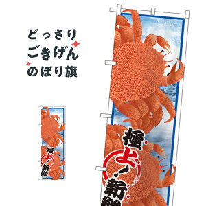 �уK�j �̂ڂ�� SNB-1558 ���ɁE�I