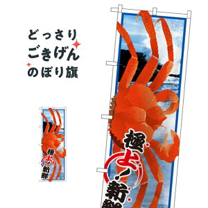 YCKj ̂ڂ SNB-1559 ɁEI