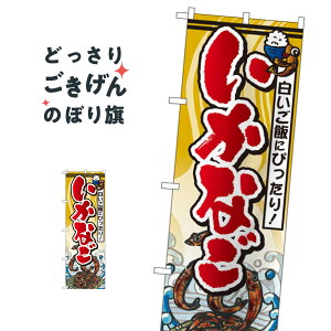 Ȃ ̂ڂ SNB-1573 