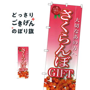 ڃMtg ̂ڂ SNB-2408 ʕ