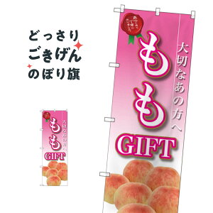 Mtg ̂ڂ SNB-2410 ʕ