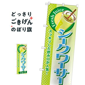 V[N[T[W[X ̂ڂ SNB-292 t[cW[X